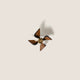 Cognac/White
